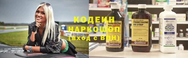 сатива Ессентукская