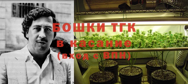 мдпв Барнаул
