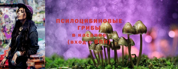 мдпв Барнаул