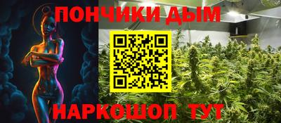 индика Мариинск