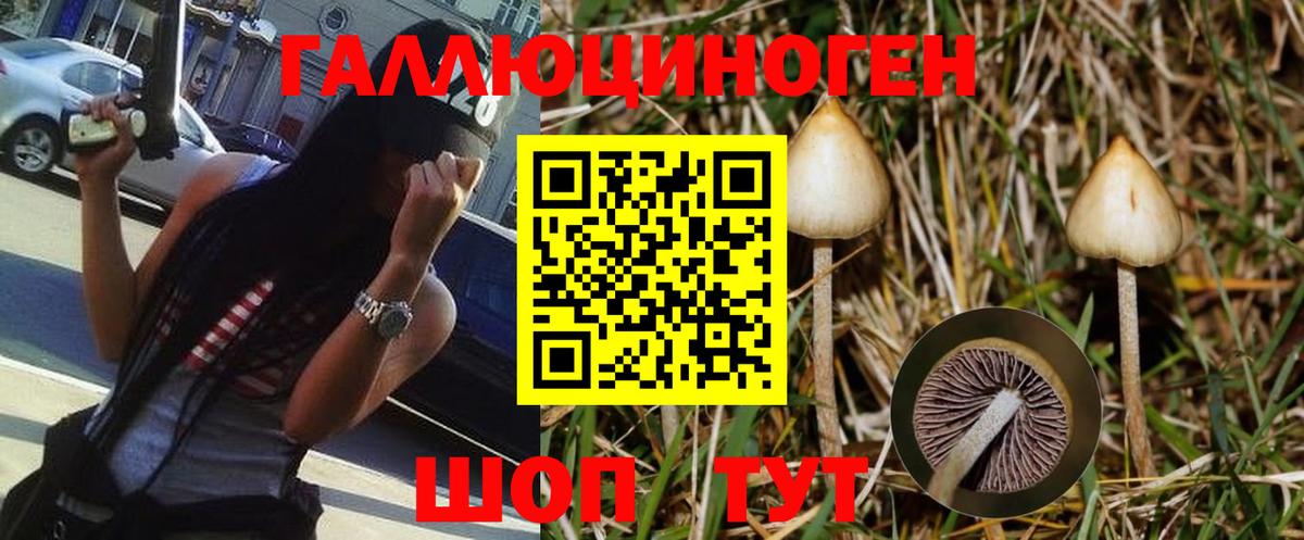 Псилоцибиновые грибы мицелий Апатиты
